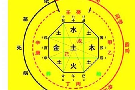 喜神是火|如何确定八字喜用神 – 八字喜用神的取用技巧